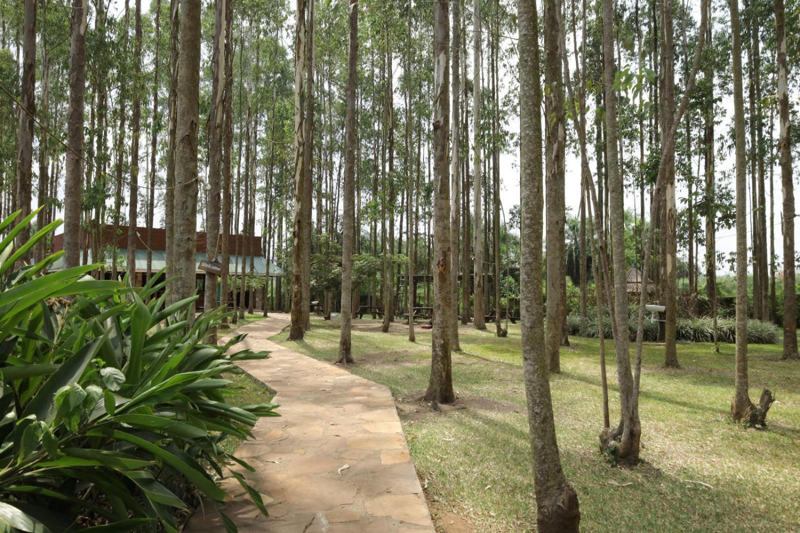 Kabalega Resort - Masindi 외부 사진